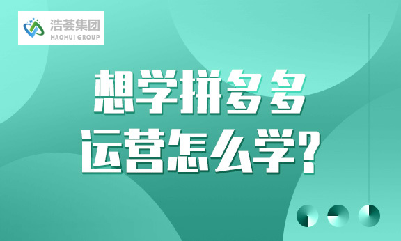想学拼多多直播运营怎么学